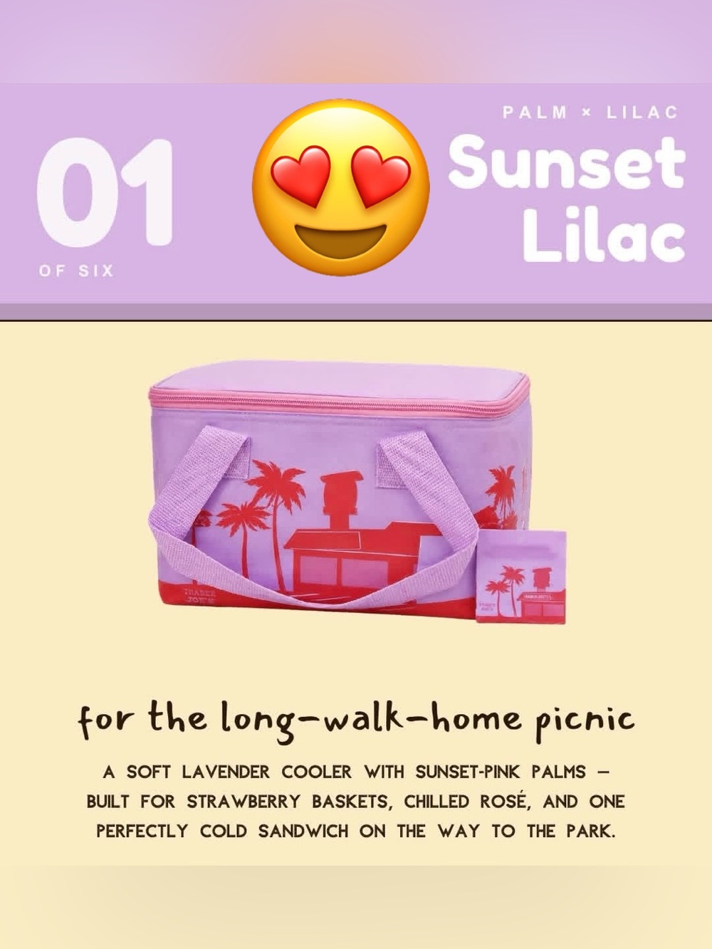 Trader Joe’s Mini Insulated Tote Bag